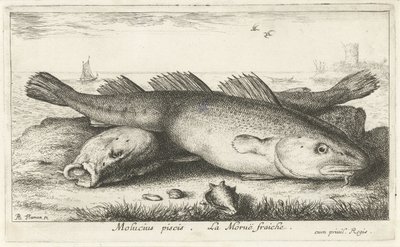 Twee kabeljouwen op het strand door Albert Flamen