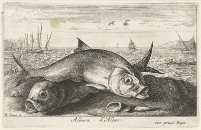 Twee meivissen op het strand door Albert Flamen