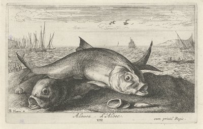 Twee meivissen op het strand door Albert Flamen