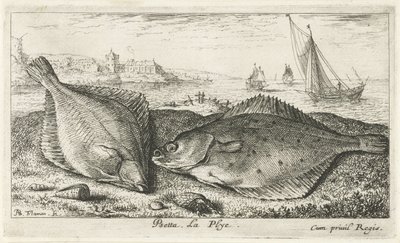 Twee platvissen op het strand door Albert Flamen