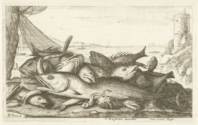 Visvangst met heremietkreeft door Albert Flamen