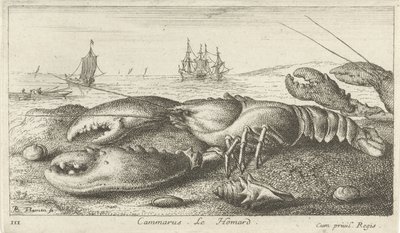 Zeekreeft op het strand Vissen en andere zeedieren - zoutwater eerste reeks Diverses Especes de Poissons de mer door Albert Flamen