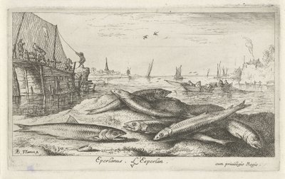 Zes spieringen op het strand door Albert Flamen