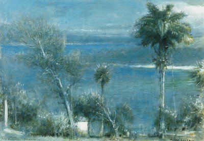 Maanlicht bij Port Antonio, Jamaica door Albert Goodwin