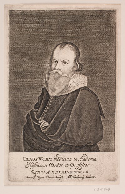 Ole Worm door Albert Haelwegh