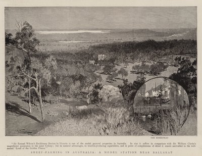 Schapenhouderij in Australië, een modelstation nabij Ballarat door Albert Henry Fullwood