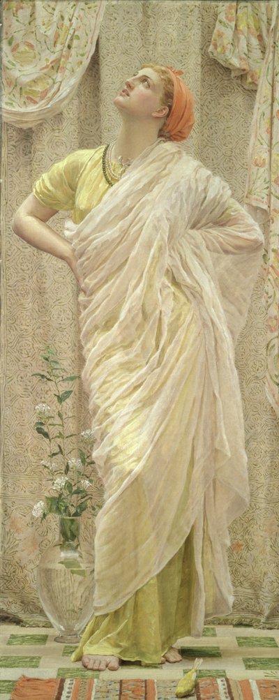 Vogels door Albert Joseph Moore