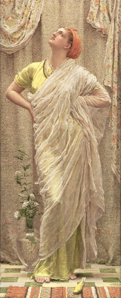 Vogels van de lucht door Albert Joseph Moore