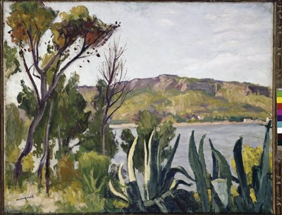 Landschap met agave door Albert Marquet
