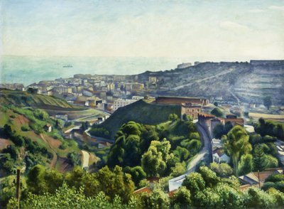 Buitenwijken van Algiers door Albert Marquet