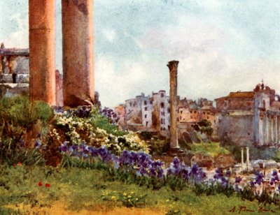 Een hoek van het Forum vanaf de voet van de Tempel van Saturnus door Alberto Pisa