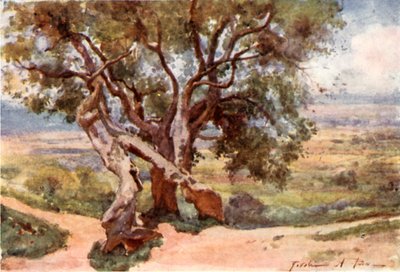 Campagna Romana, vanaf Tivoli door Alberto Pisa