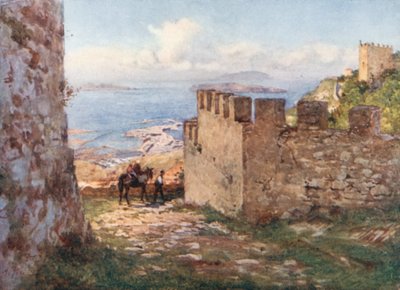 Trapani en de Aigadische eilanden vanaf het kasteel van Monte San Giuliano door Alberto Pisa