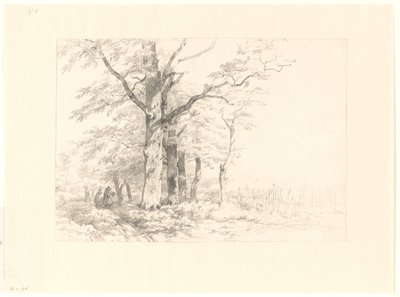 Studie van eiken in een landschap door Albertus Brondgeest