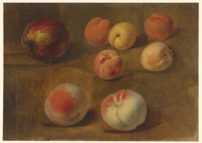Stilleven met appel, perziken en abrikozen door Albertus Steenbergen