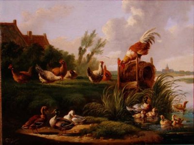 Eenden en gevogelte aan een rivierbank door Albertus Verhoesen