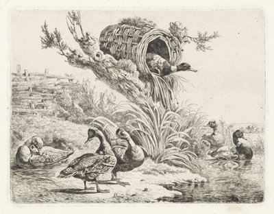 Eenden aan een waterkant door Albertus Verhoesen