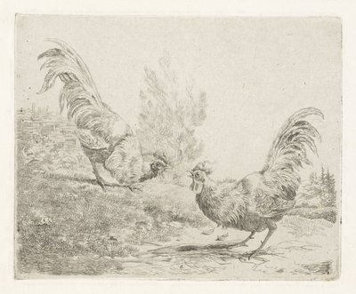 Twee vechtende hanen door Albertus Verhoesen