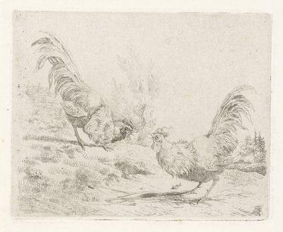 Twee vechtende hanen door Albertus Verhoesen