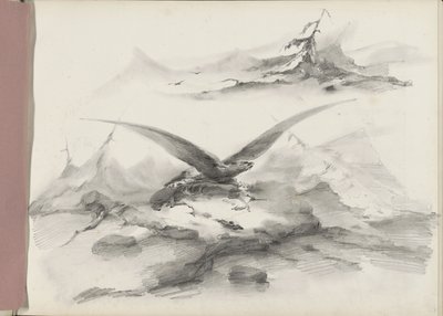 Arend vliegend boven een kust met bergen door Albertus van Beest