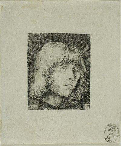Hoofd van een Jonge Man door Albrecht Altdorfer