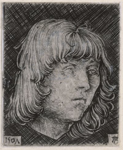 Hoofd van een jonge man door Albrecht Altdorfer