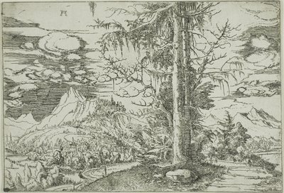 Landschap met een dubbele spar door Albrecht Altdorfer