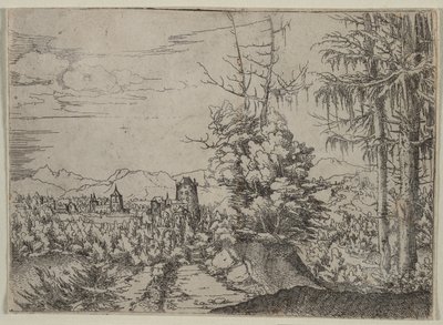 Landschap met twee pijnbomen, 1522-1525 door Albrecht Altdorfer
