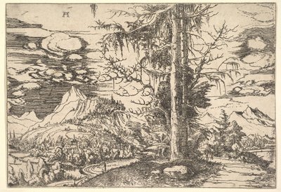 Landschap met een Dubbele Spar door Albrecht Altdorfer