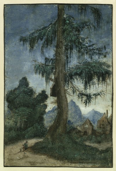  door Albrecht Altdorfer
