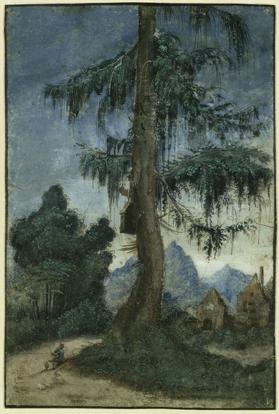  door Albrecht Altdorfer