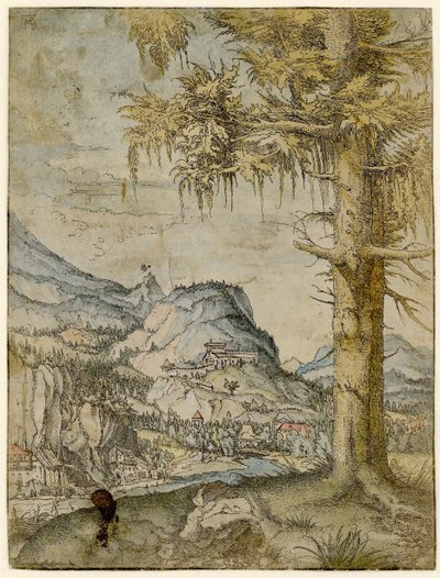 Grote spar, ca. 1517-1520 door Albrecht Altdorfer