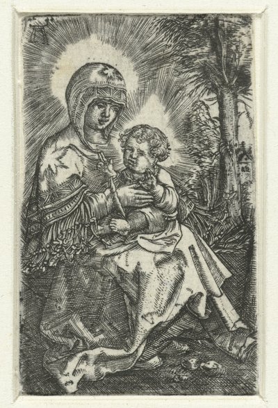 Maria met kind in landschap door Albrecht Altdorfer