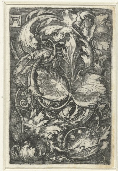 Ornament met bladranken door Albrecht Altdorfer