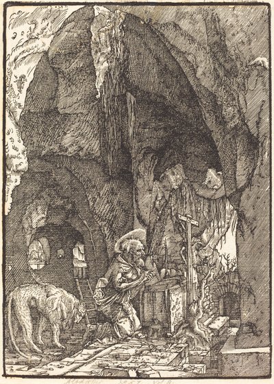 Sint Hiëronymus in een Grot door Albrecht Altdorfer