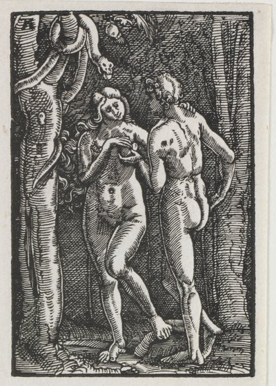De Val en Verlossing van de Mens: Adam en Eva eten de Verboden Vrucht door Albrecht Altdorfer