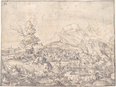 Het grote landschap met de watermolen door Albrecht Altdorfer