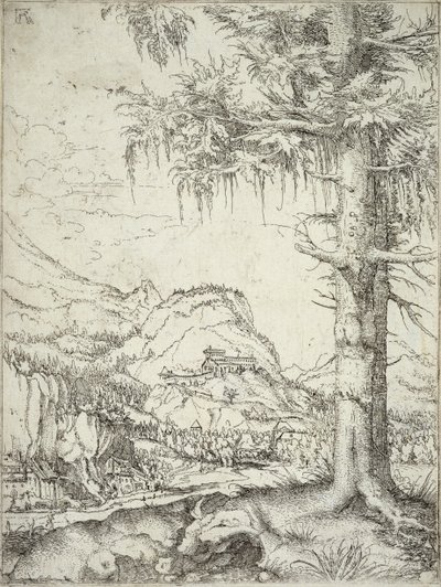 De Grote Spar door Albrecht Altdorfer