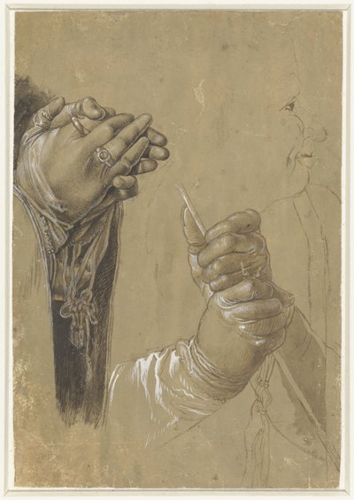 Handen en een profielkop door Albrecht Dürer (possibly)