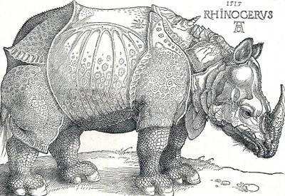Een neushoorn door Albrecht Dürer