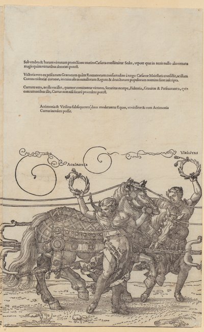  door Albrecht Dürer