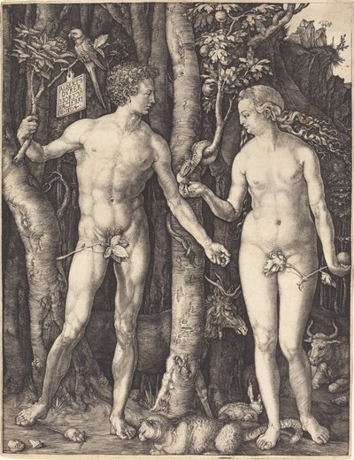 Adam en Eva door Albrecht Dürer