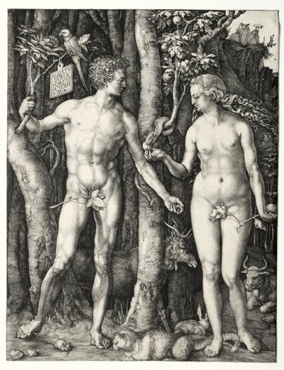 Adam en Eva door Albrecht Dürer