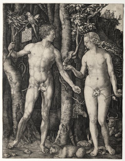Adam en Eva door Albrecht Dürer