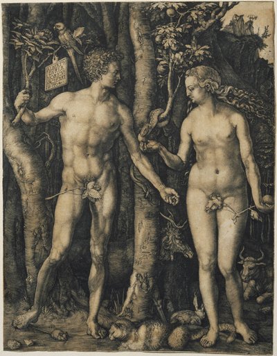 Adam en Eva door Albrecht Dürer