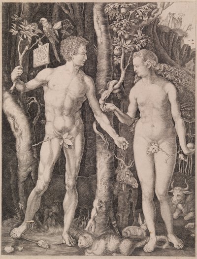  door Albrecht Dürer