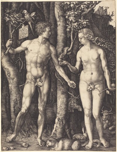  door Albrecht Dürer