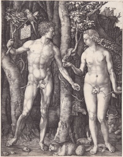  door Albrecht Dürer