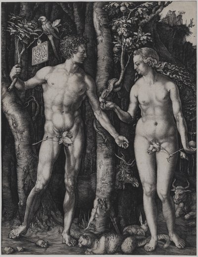  door Albrecht Dürer