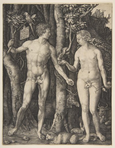  door Albrecht Dürer